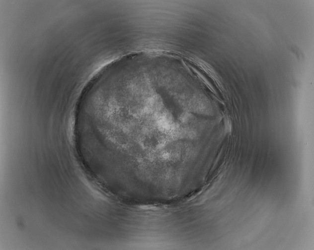 X0000113580627200910161540