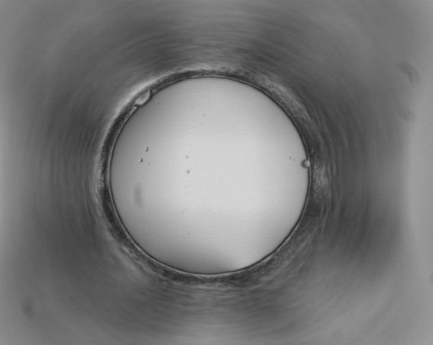 X0000113580628200910161540