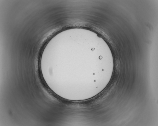 X0000113580629200910161540