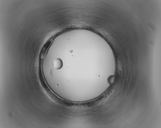 X0000113580630200910161540