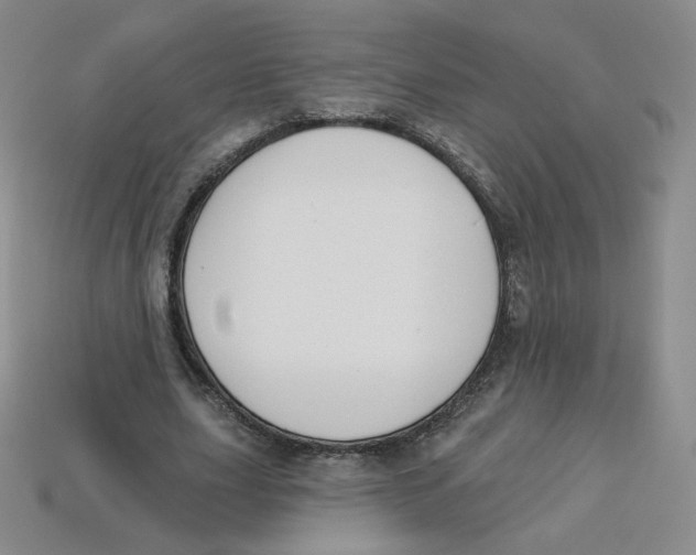 X0000113580631200910161540