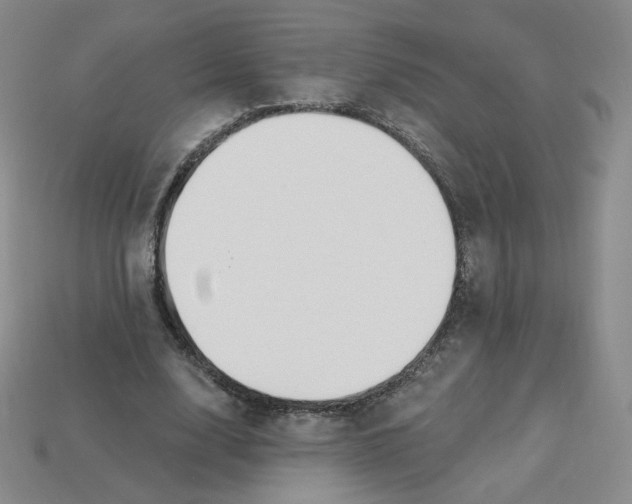 X0000113580632200910161540