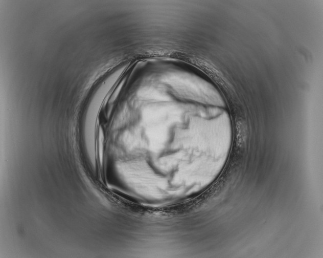 X0000113580634200910161540