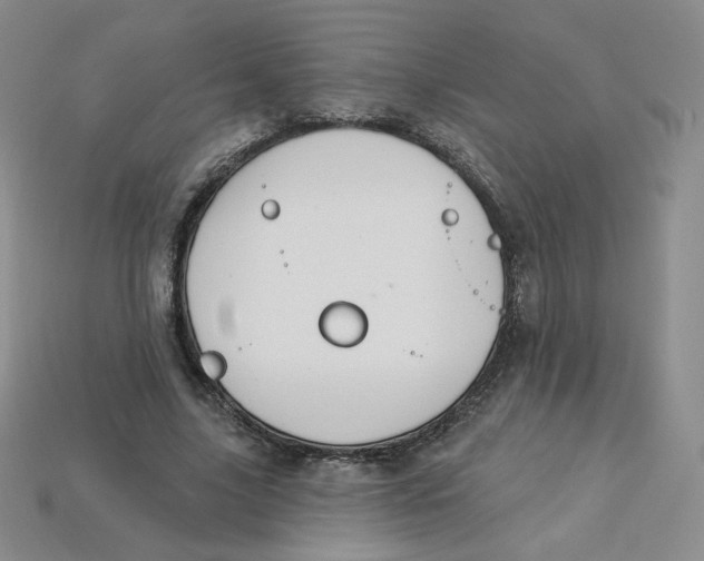 X0000113580635200910161540