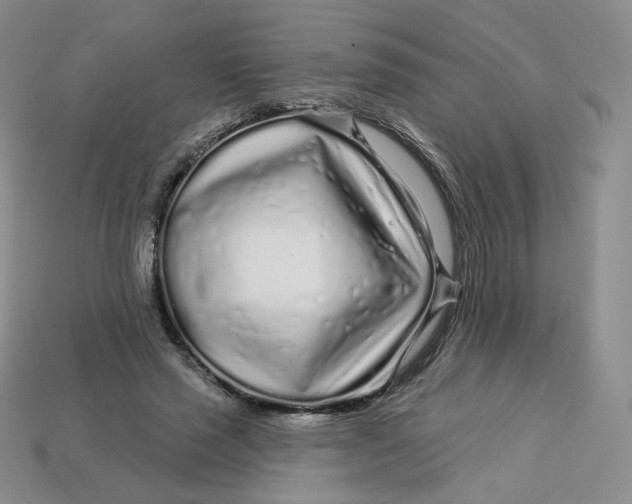 X0000113580637200910161540