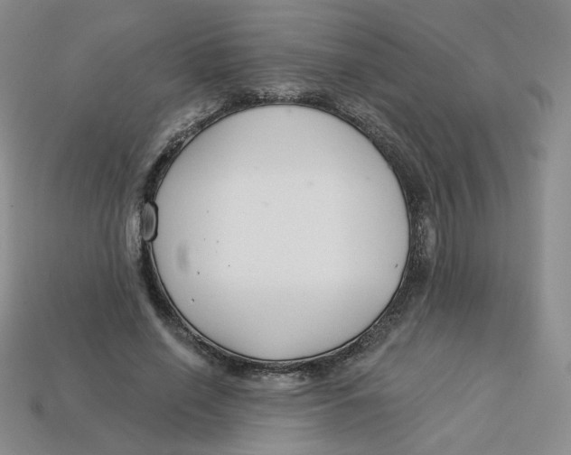 X0000113580638200910161540