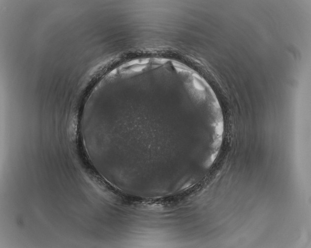 X0000113580640200910161540