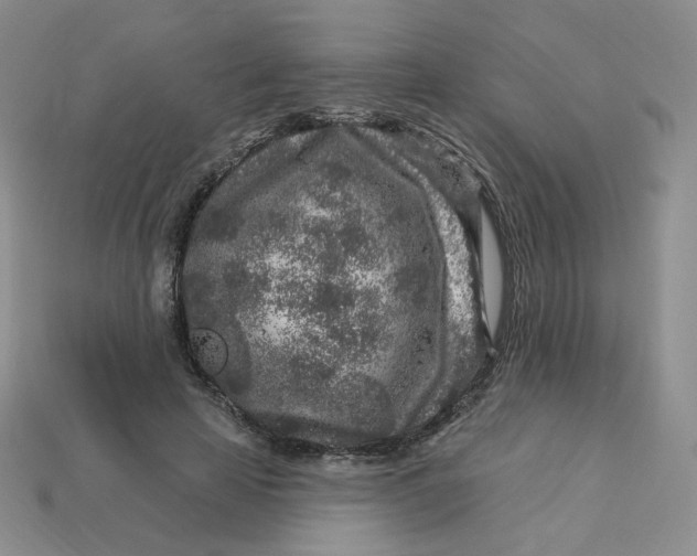 X0000113580641200910161540