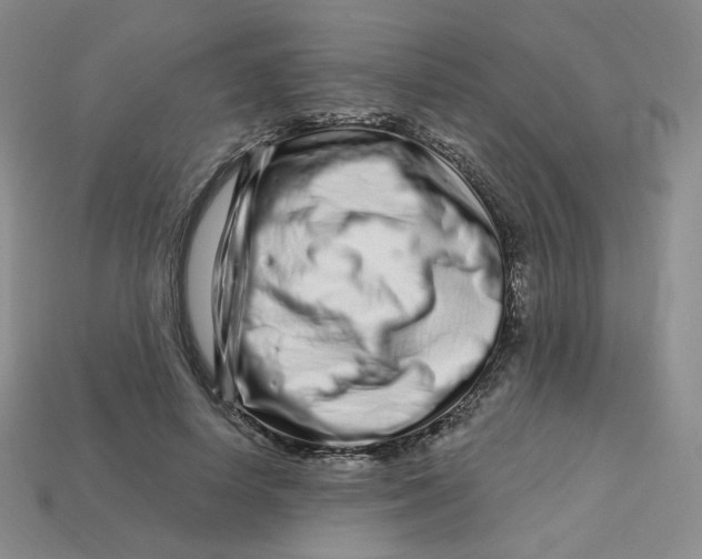 X0000113580642200910161540