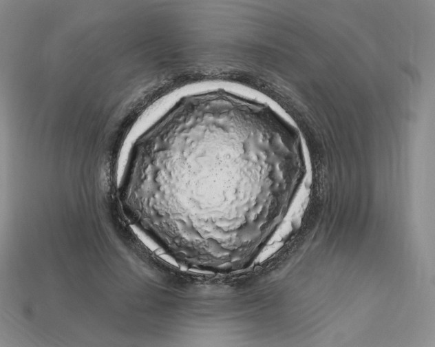 X0000113580644200910161541