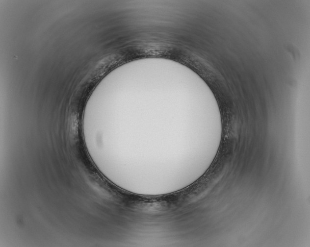 X0000113580646200910161541