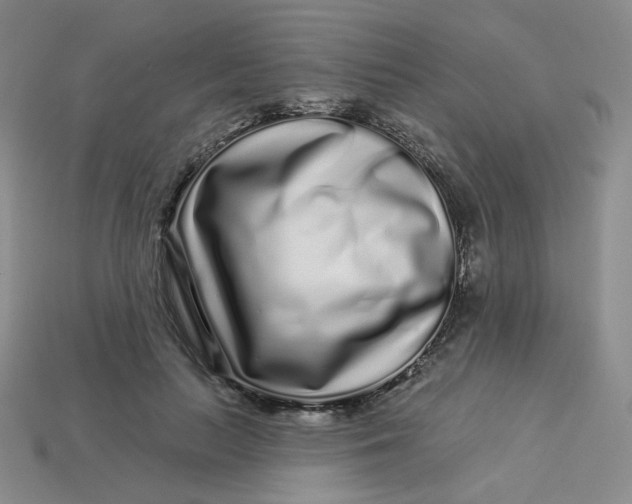 X0000113580647200910161541