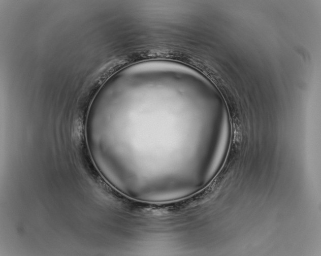 X0000113580648200910161541