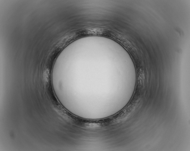 X0000113580649200910161541