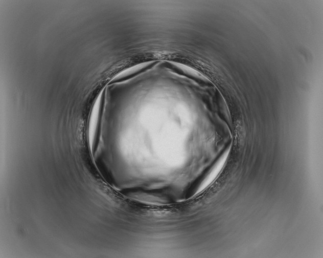 X0000113580650200910161541