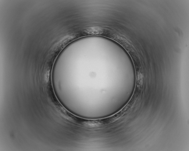 X0000113580652200910161541