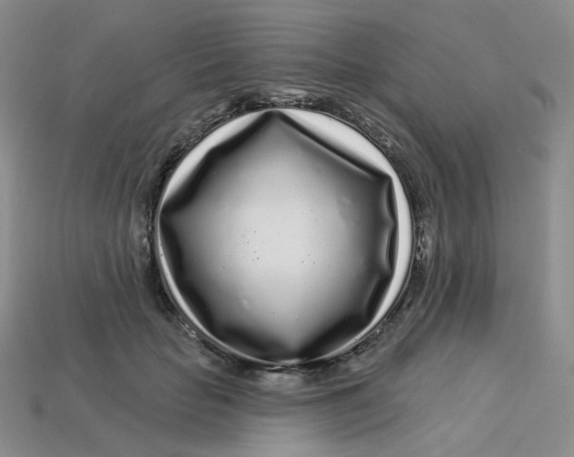 X0000113580653200910161541