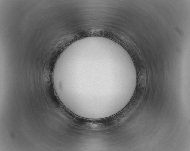 X0000113580654200910161541