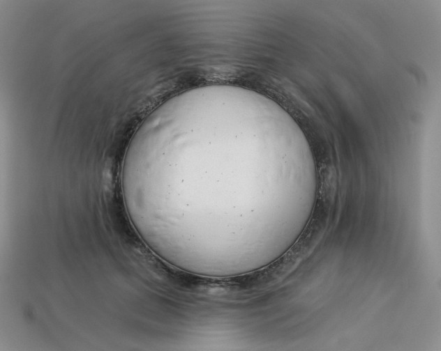 X0000113580655200910161541