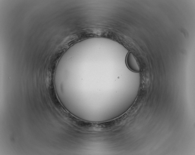 X0000113580656200910161541