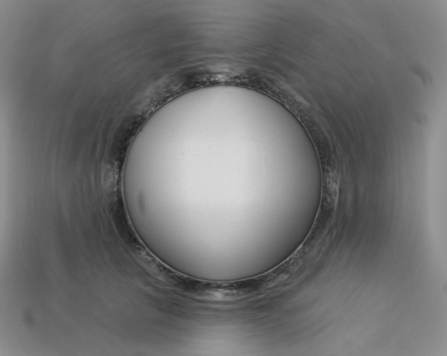 X0000113580657200910161541