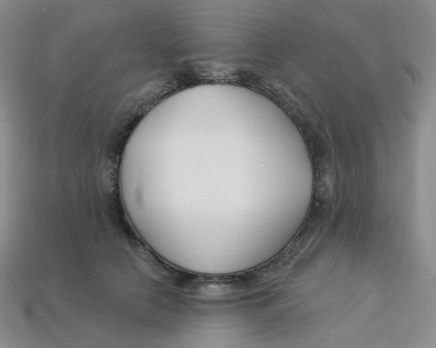 X0000113580658200910161541