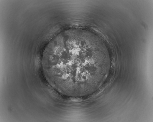 X0000113580659200910161541