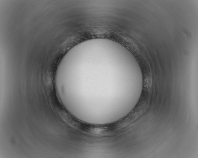 X0000113580662200910161541