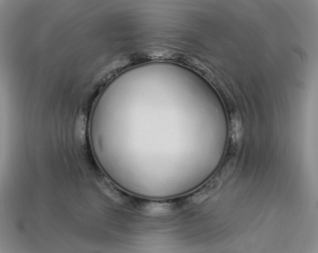 X0000113580664200910161541