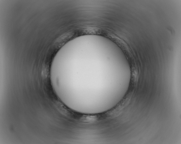 X0000113580665200910161541