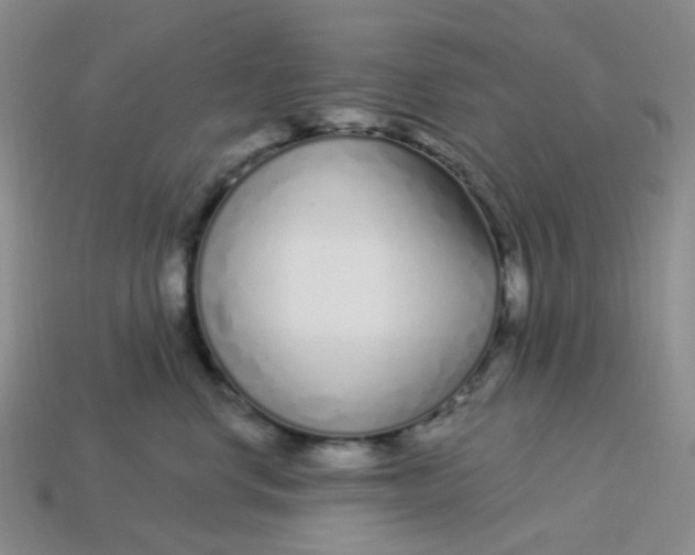 X0000113580668200910161541