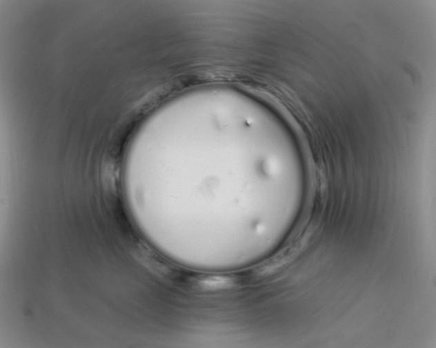 X0000113580669200910161541