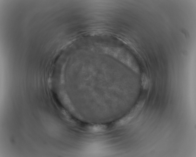 X0000113580670200910161541