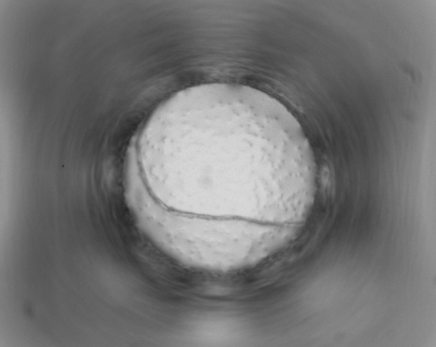 X0000113580671200910161541