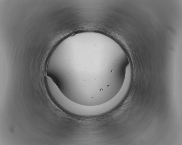 X0000113580673200910161540