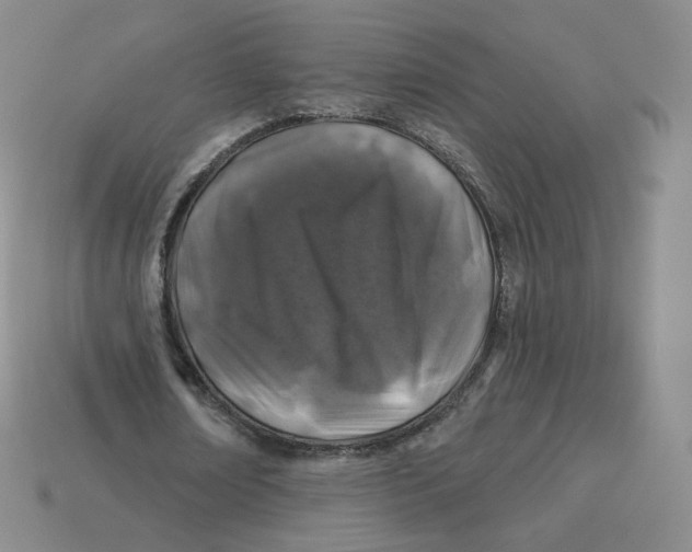 X0000113580674200910161540