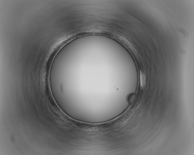 X0000113580675200910161540