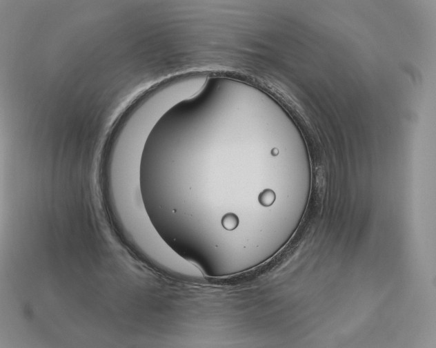 X0000113580676200910161540