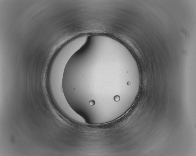 X0000113580677200910161540