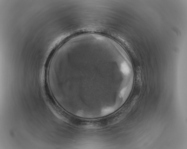 X0000113580678200910161540