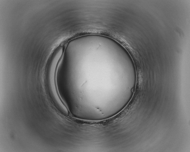 X0000113580679200910161540