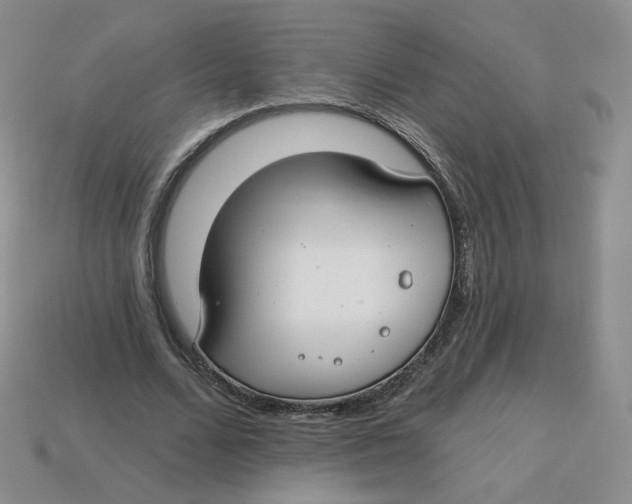 X0000113580680200910161540