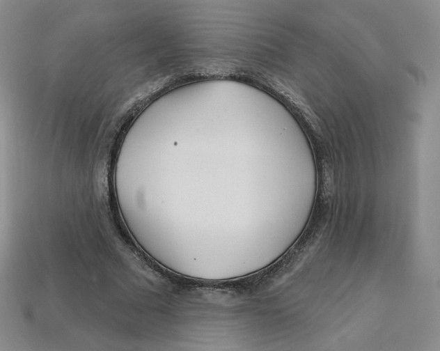 X0000113580681200910161540