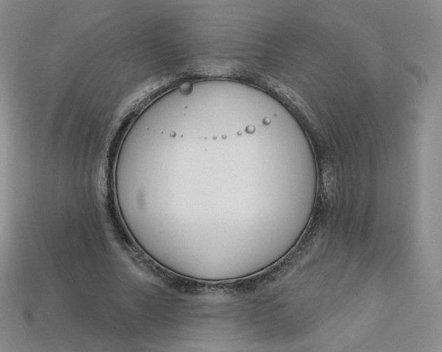 X0000113580682200910161540