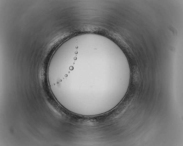 X0000113580683200910161540