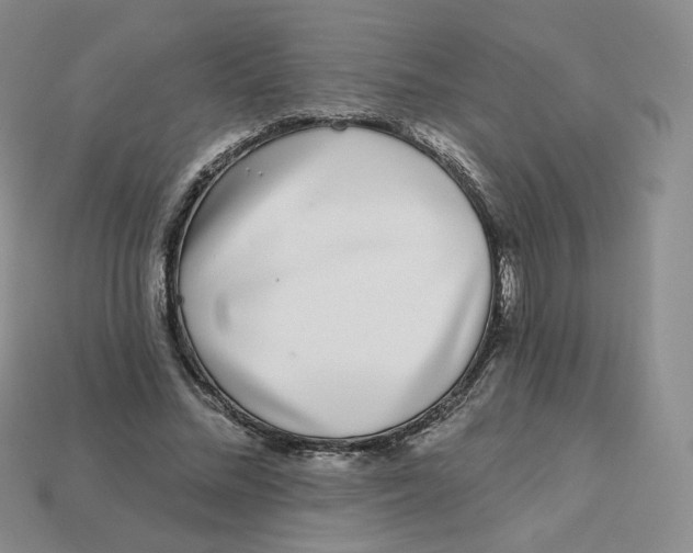 X0000113580684200910161540