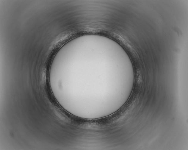 X0000113580685200910161540