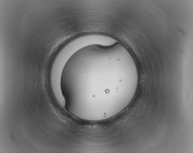 X0000113580688200910161540