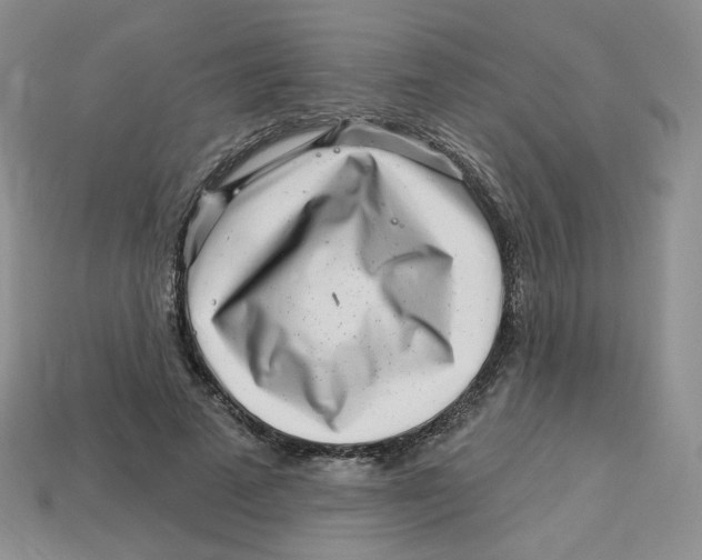 X0000113580689200910161540