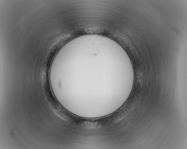 X0000113580690200910161540